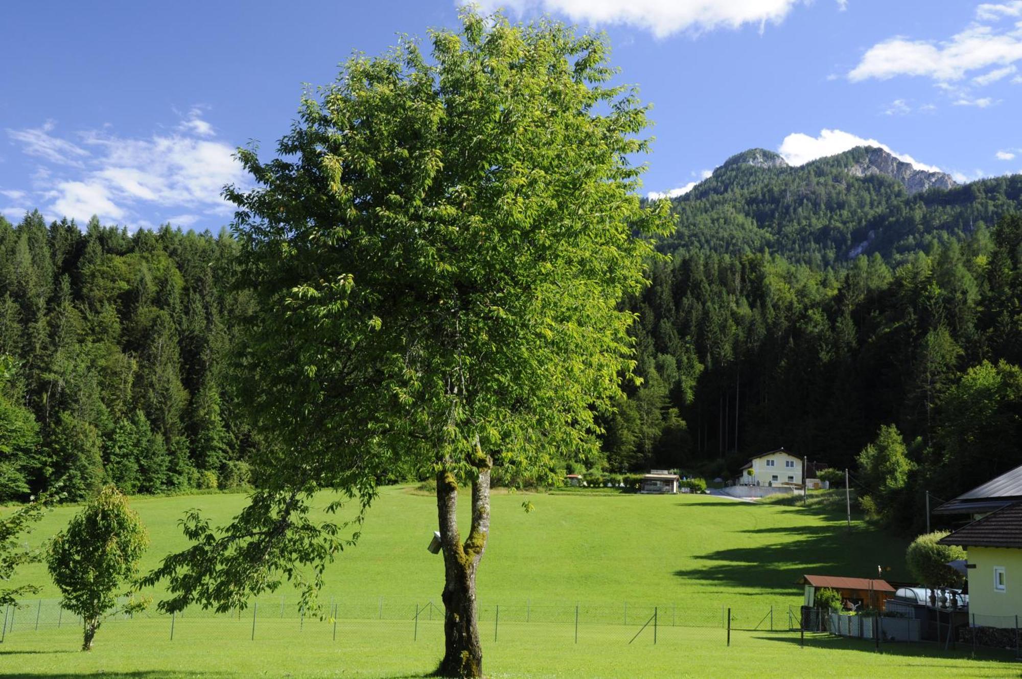 Das Stille Paradies Ledenitzen Exterior photo